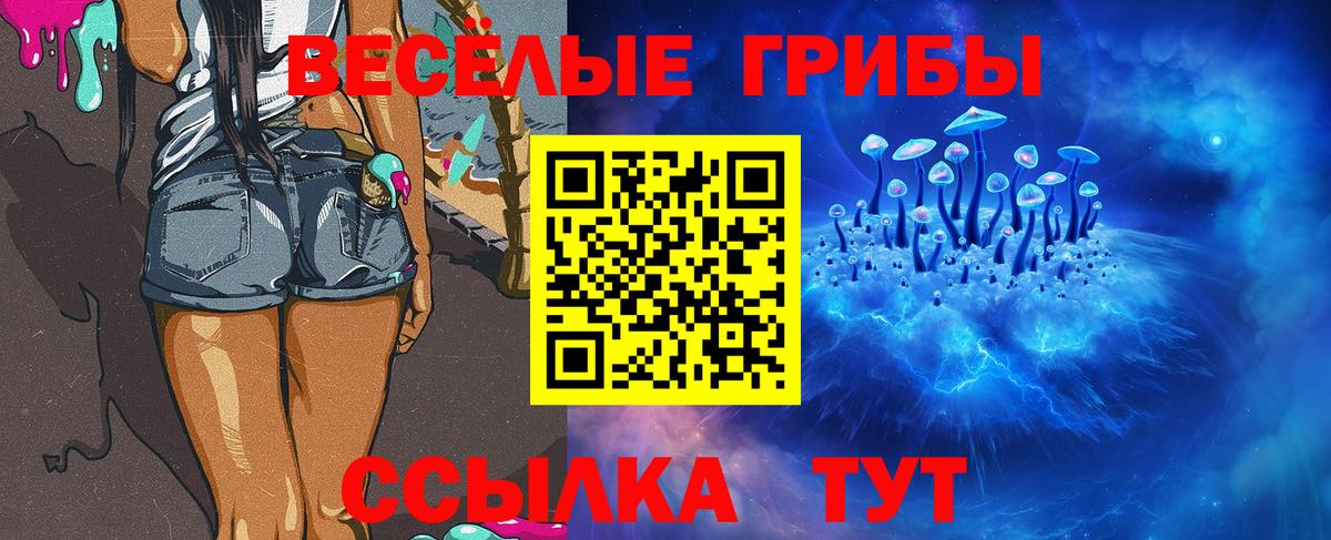 Псилоцибиновые грибы прущие грибы  Вход с VPN  Тимашёвск 