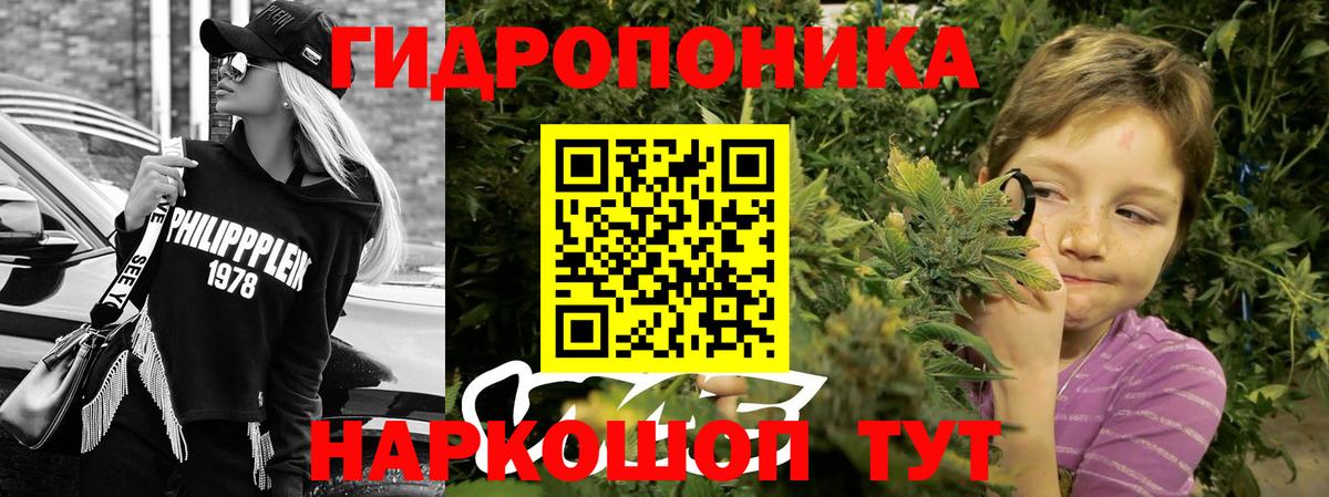 Марихуана семена Тимашёвск